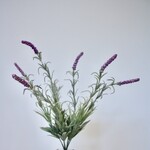 LAVENDER |LILAC| 44 CM