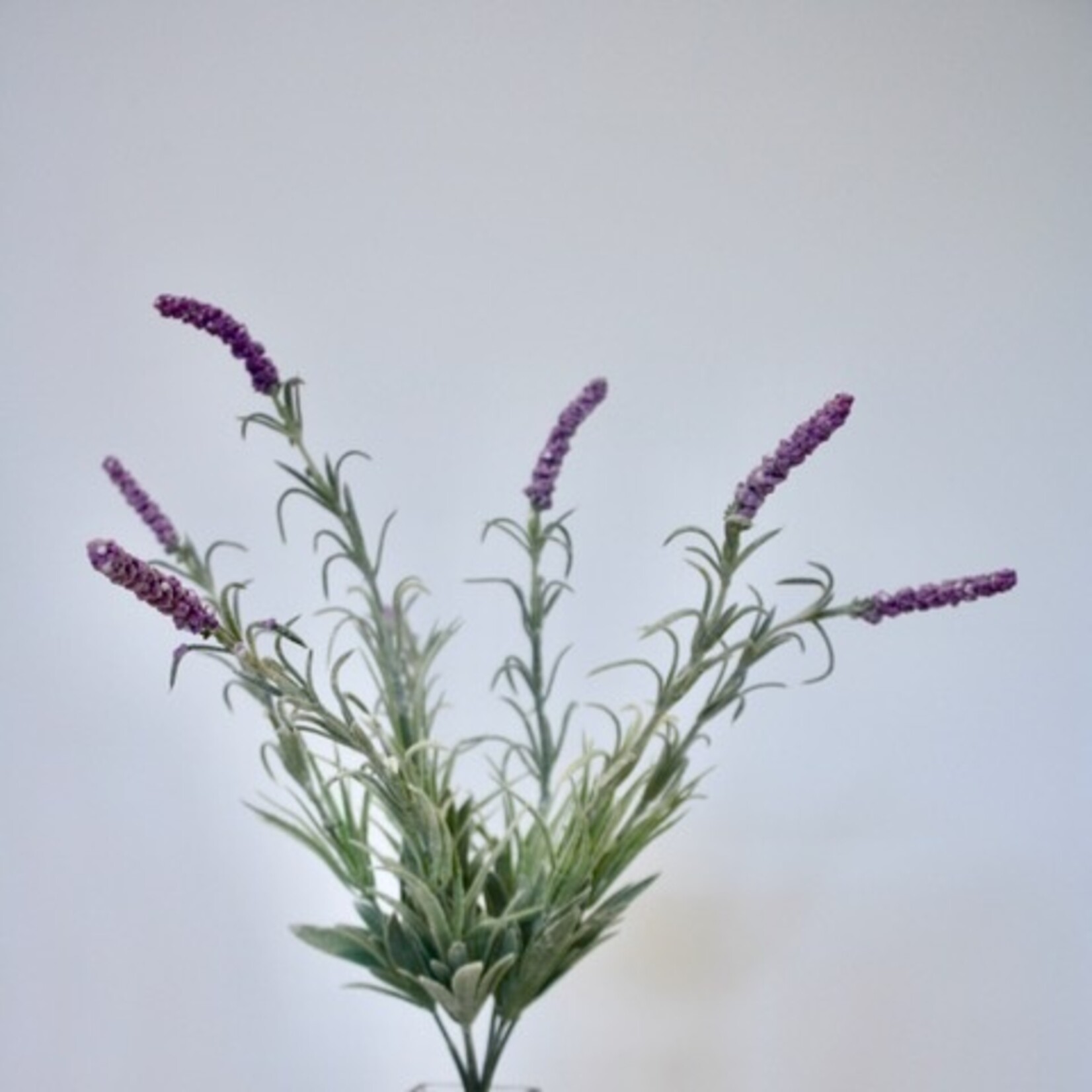 LAVENDER | LILAC | 44 CM