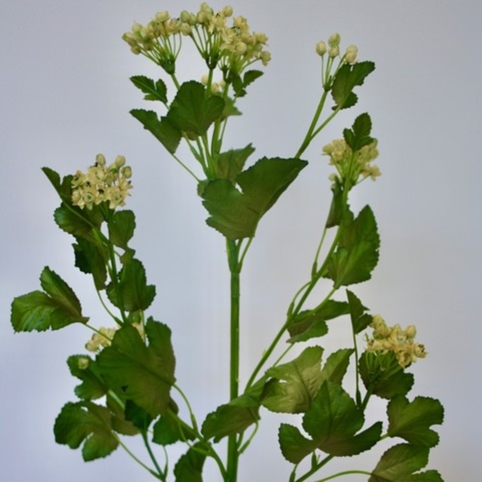 BARBARA KRUID | GEEL | 78 CM