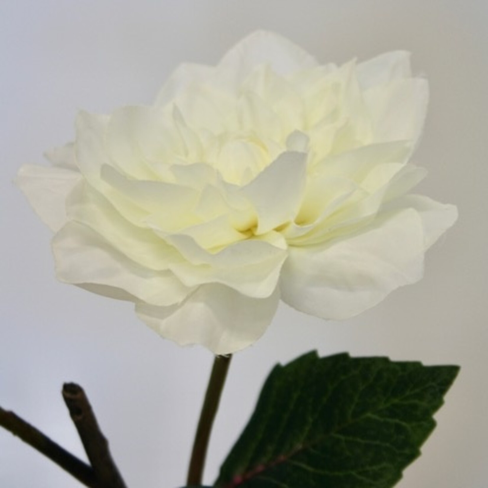 DAHLIA BRANCH WHITE PERFECTION | WHITE |  45 CM