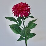 DAHLIA  | ROZE | 70 CM
