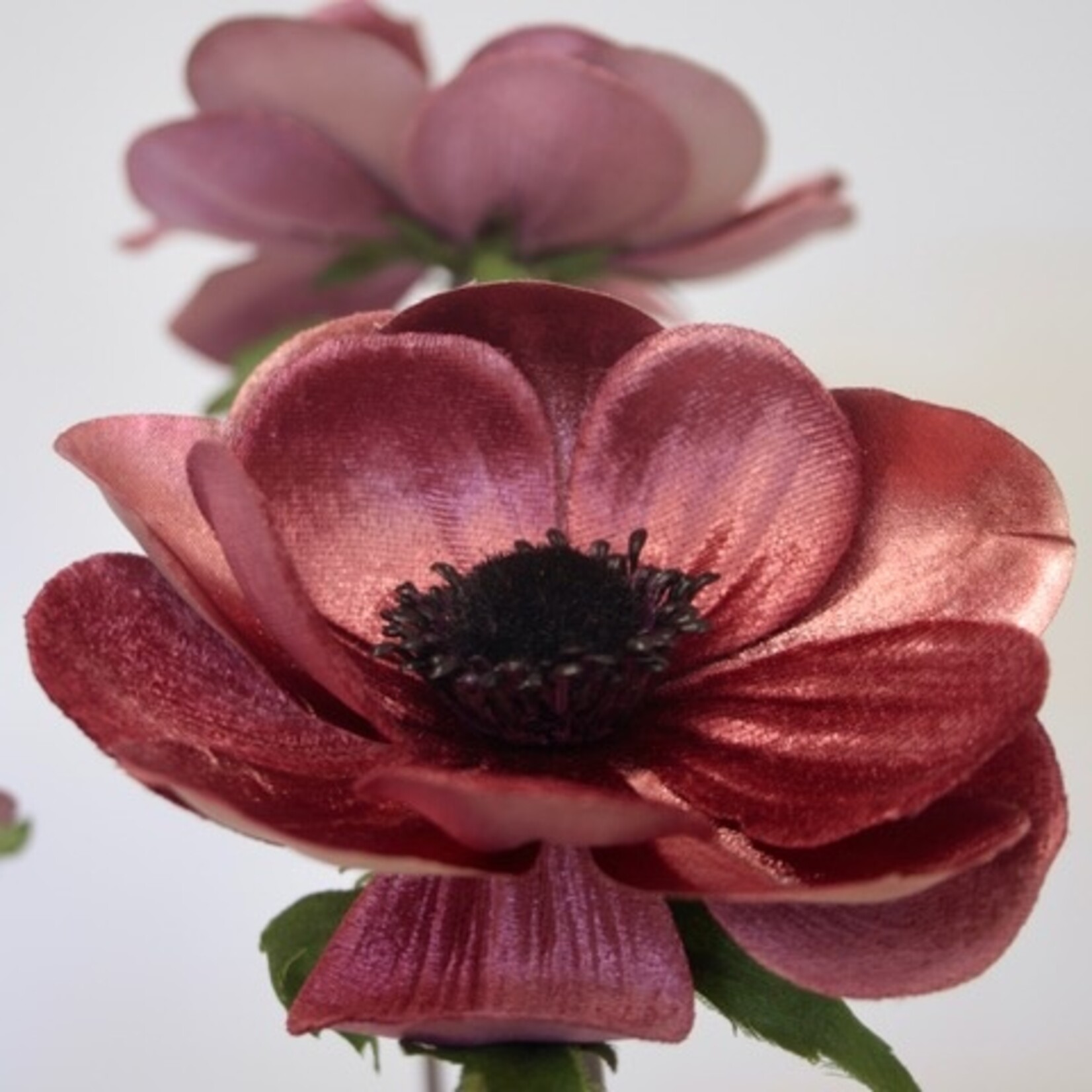 ANEMOON CHRISTMAS | DONKER ROZE | 73 CM
