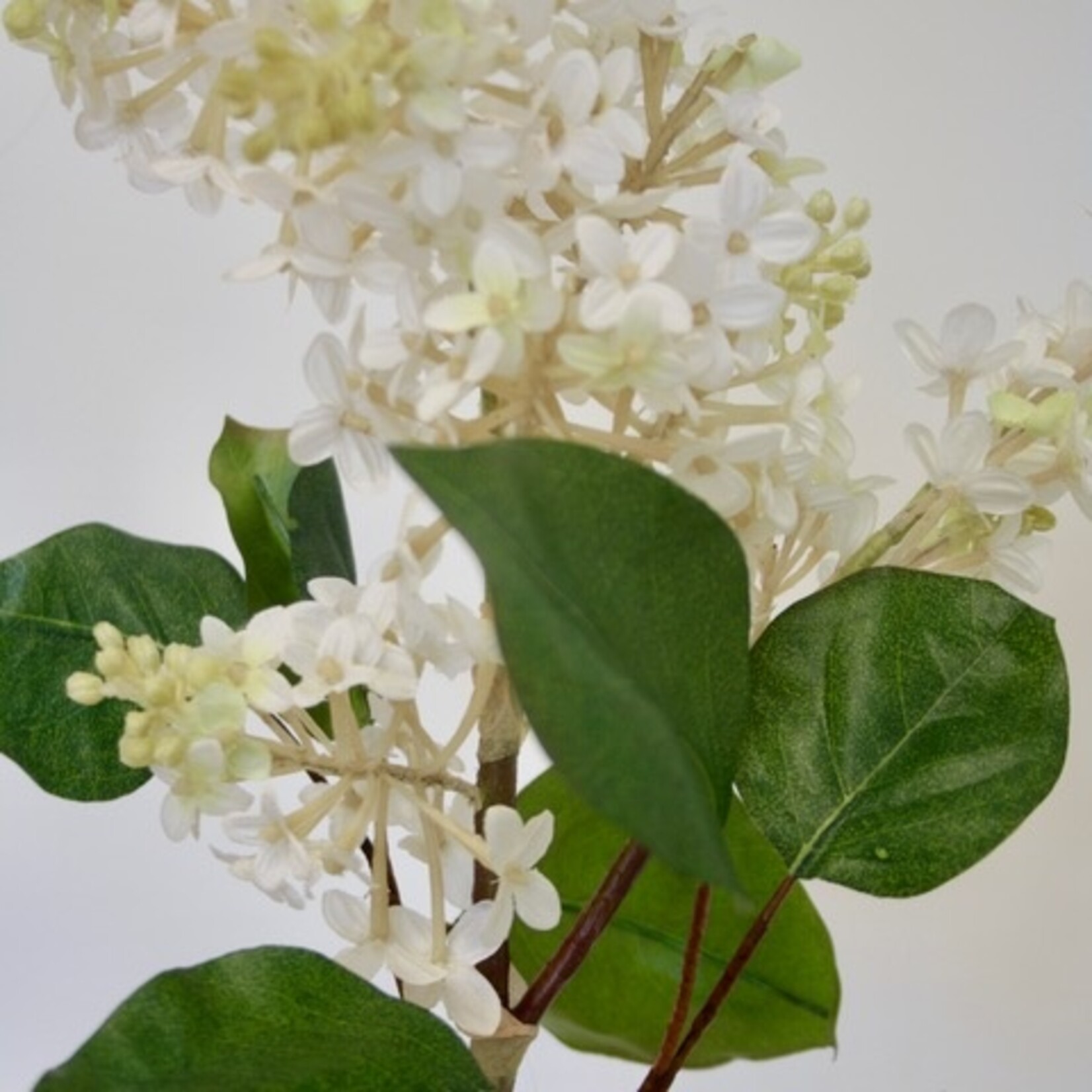 LILAC BRANCH MILLERTON POINT | WHITE | 82 CM