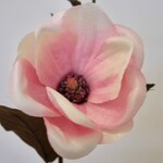 MAGNOLIA | PINK | 35 CM