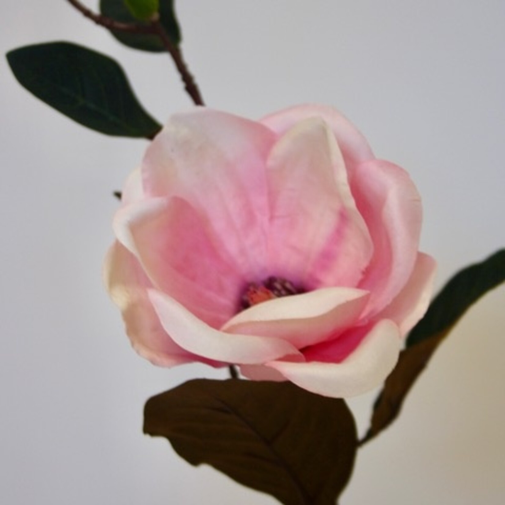 MAGNOLIA | ROZE | 35 CM