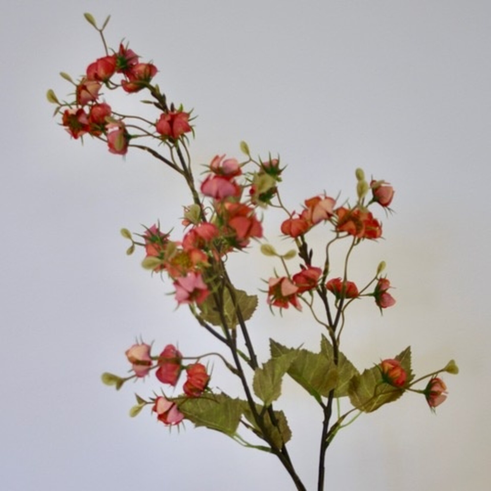 BERRY  SPRAY BITTERSWEET | ORANGE | 92 CM