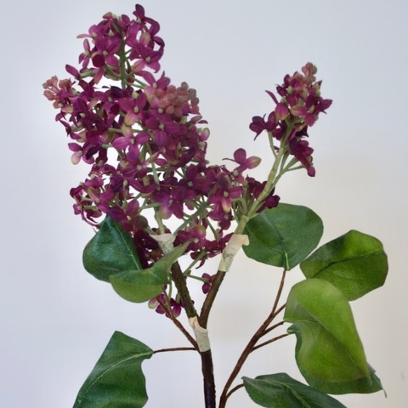SERING TAK CHARLES JOLY | PAARS | 82 CM
