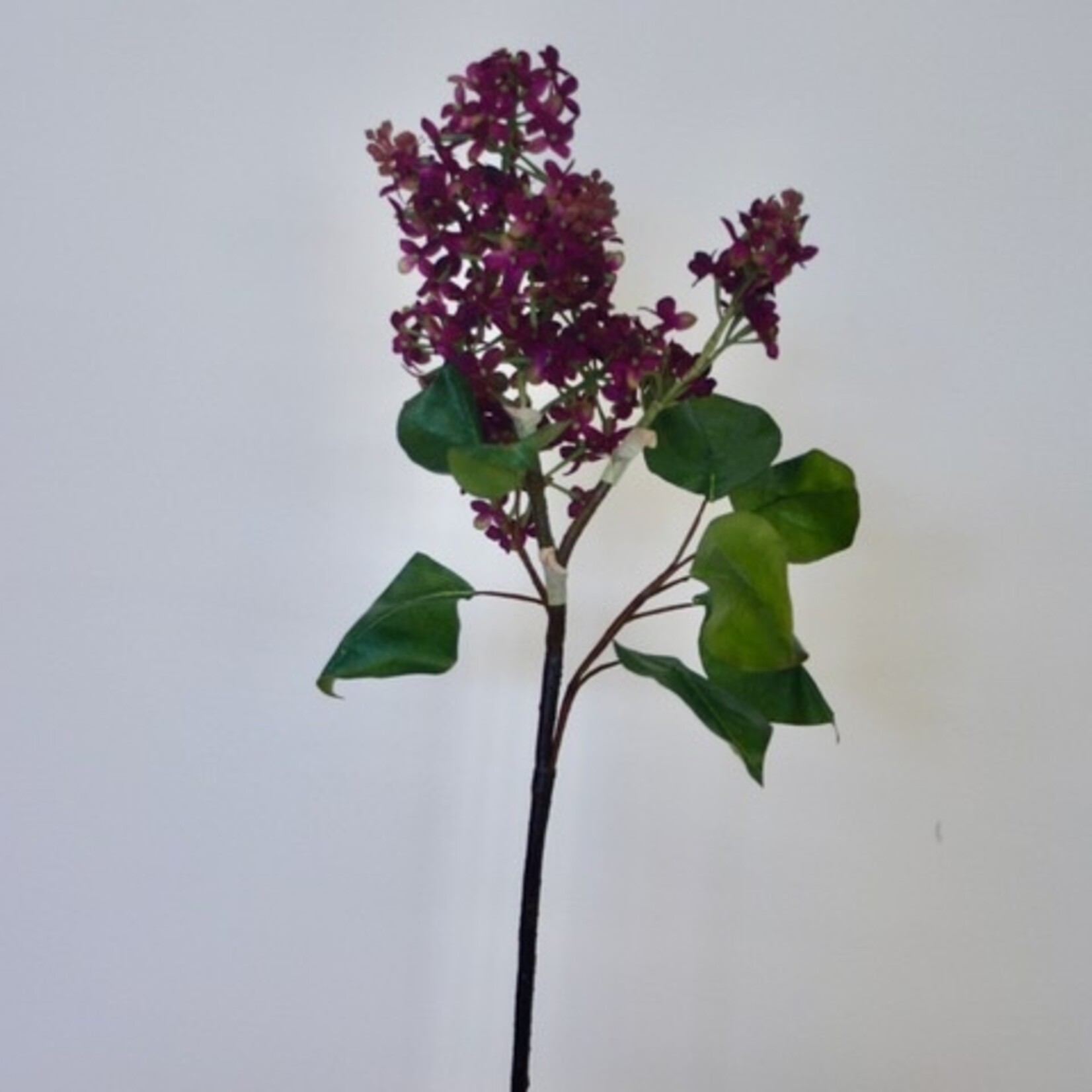 LILAC BRANCH CHARLES JOLY | PURPLE | 82 CM