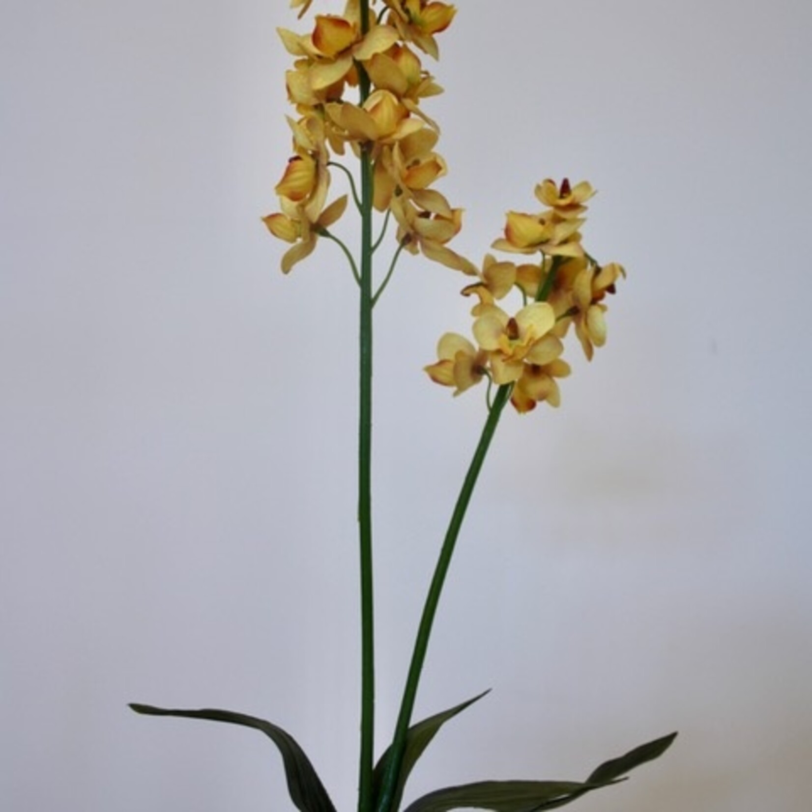 ORCHIDEE JAMAICA | GEEL | 52 CM