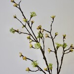 BLOESEM | GEEL | 111 CM