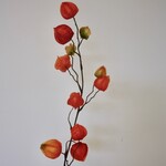 LAMPIONNENTAK | ORANJE | 70 CM