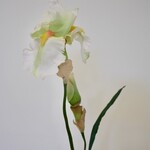 IRIS | WIT | 83 CM