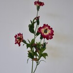 MUURBLOEM | ROOD | 65 CM