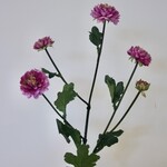CHRYSANTHEMUM | FUCHSIA | 68 CM