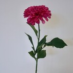 DAHLIA | HARD ROZE | 60 CM