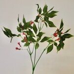 FRITILLARIA | ROZE  | 75 CM