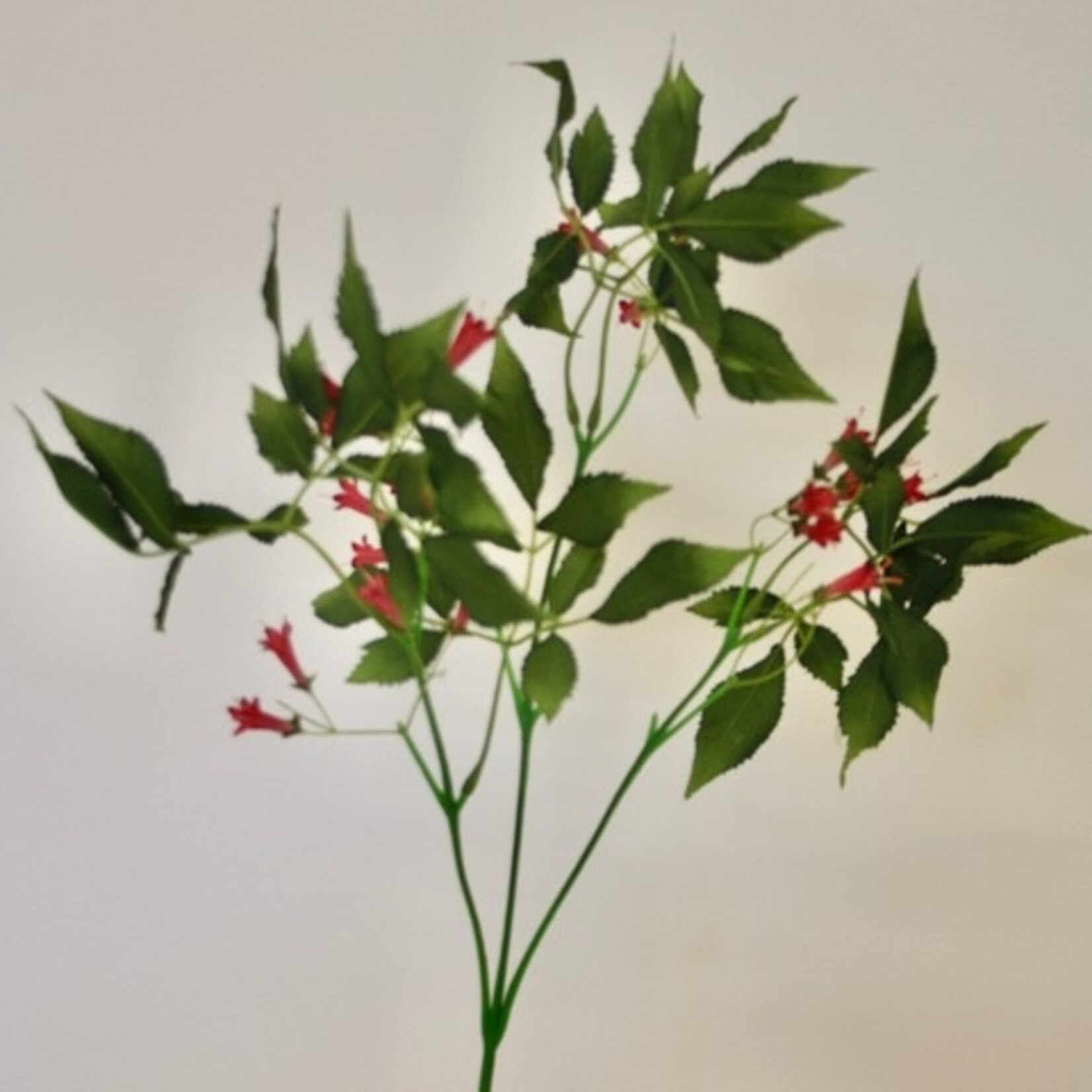 FRITILLARIA | PINK | 75 CM