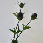 KRUIS DISTEL | PAARS | 83 CM