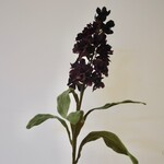 DAMASTBLOEM | PAARS | 70 CM
