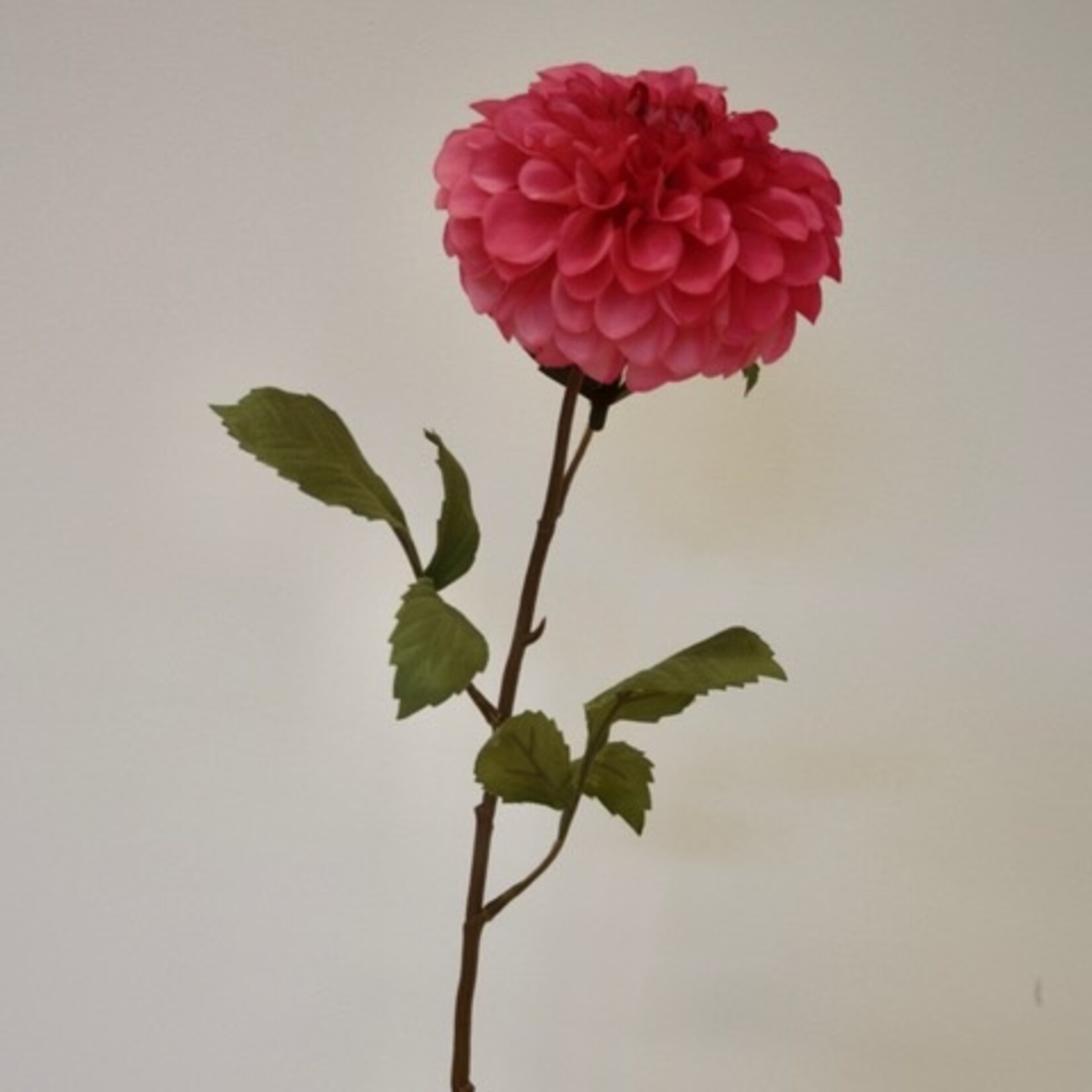 DAHLIA PINK RUNNER | CORAL |  90 CM