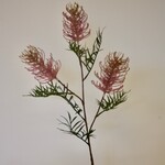 GREVILLEA | ROZE | 83 CM
