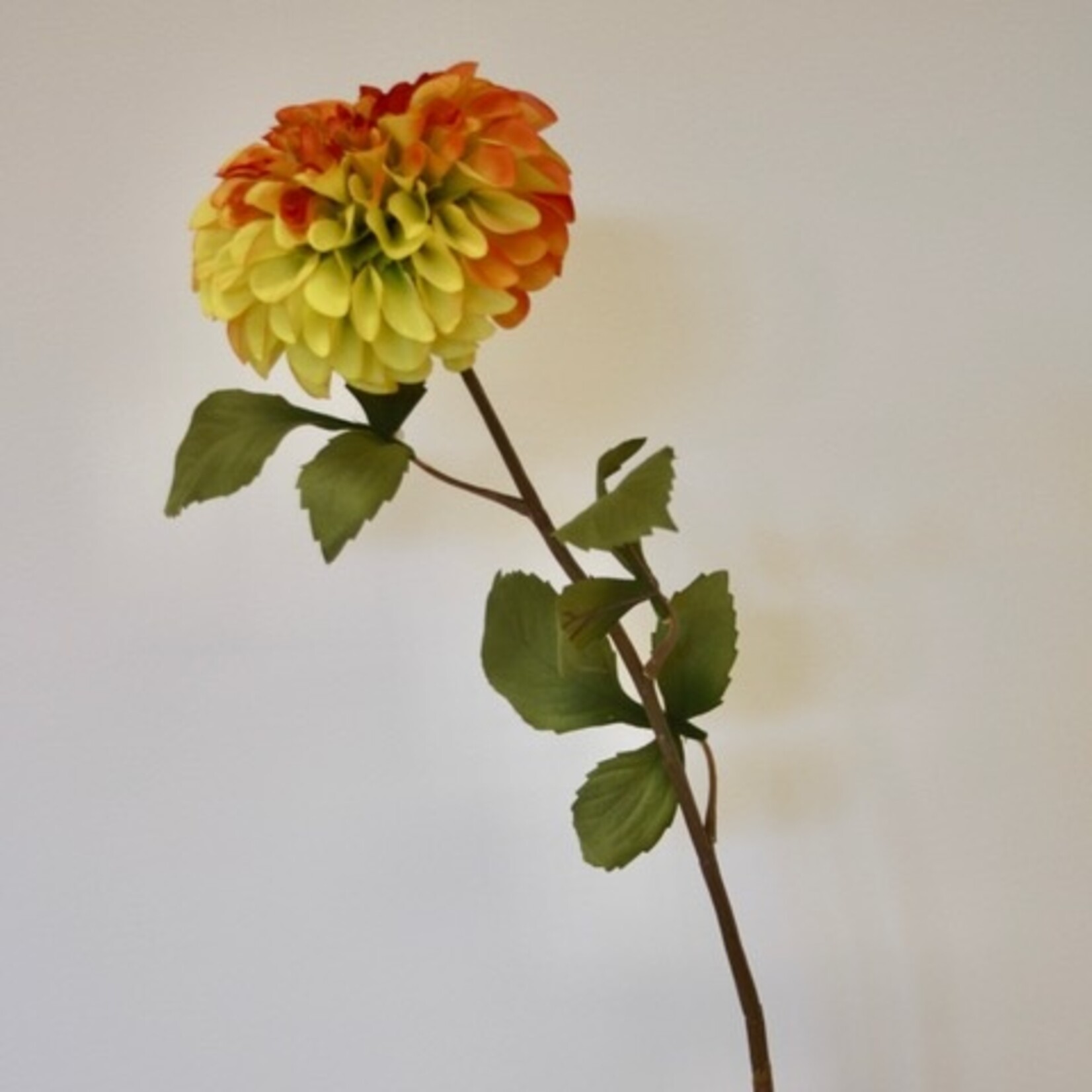 DAHLIA BANTLING | GEEL ORANJE | 90 CM
