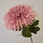 CHRYSANT | PINK | 65 CM