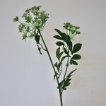 DILL | WHITE | 75 CM