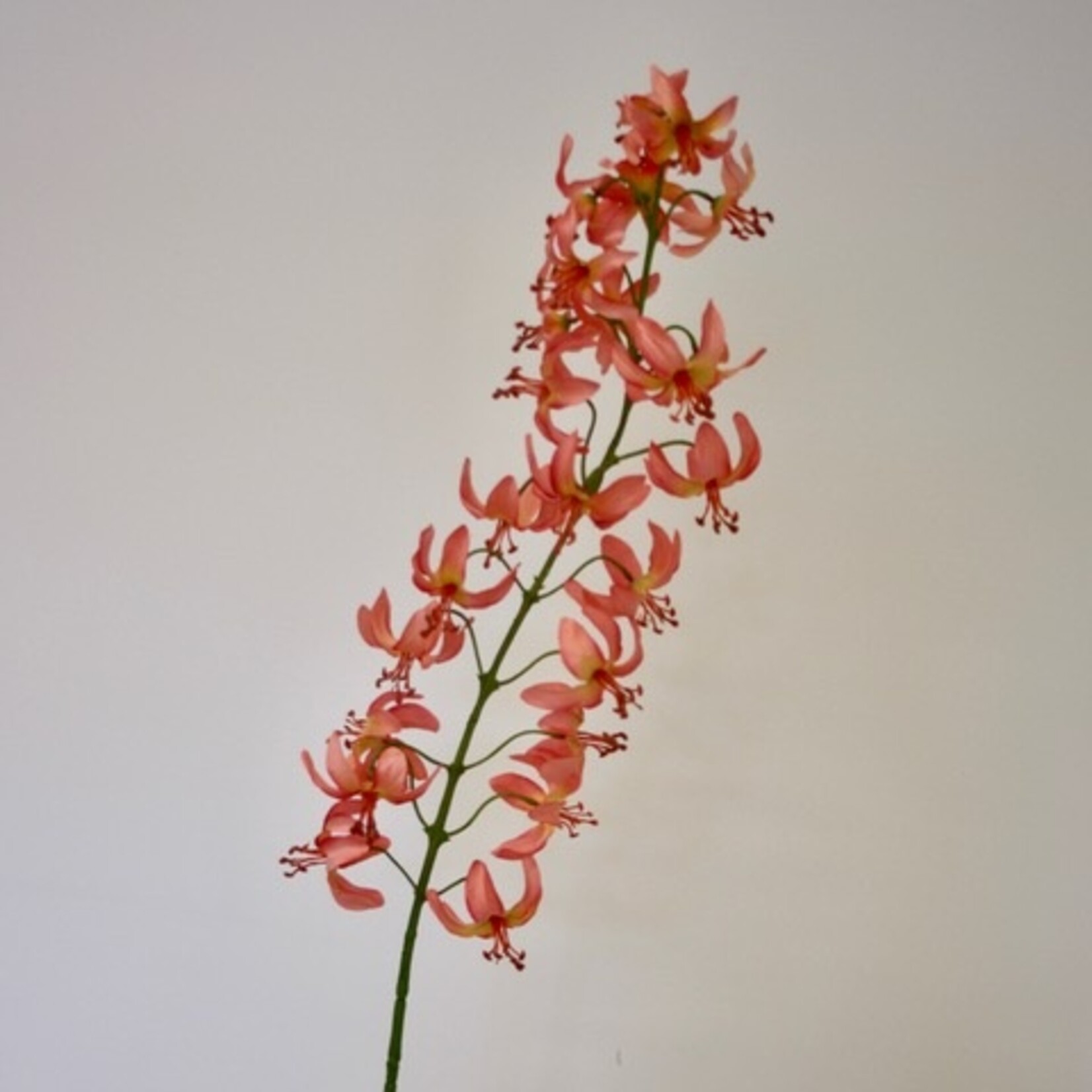 ASIAN LILY | PEACH | 112 CM