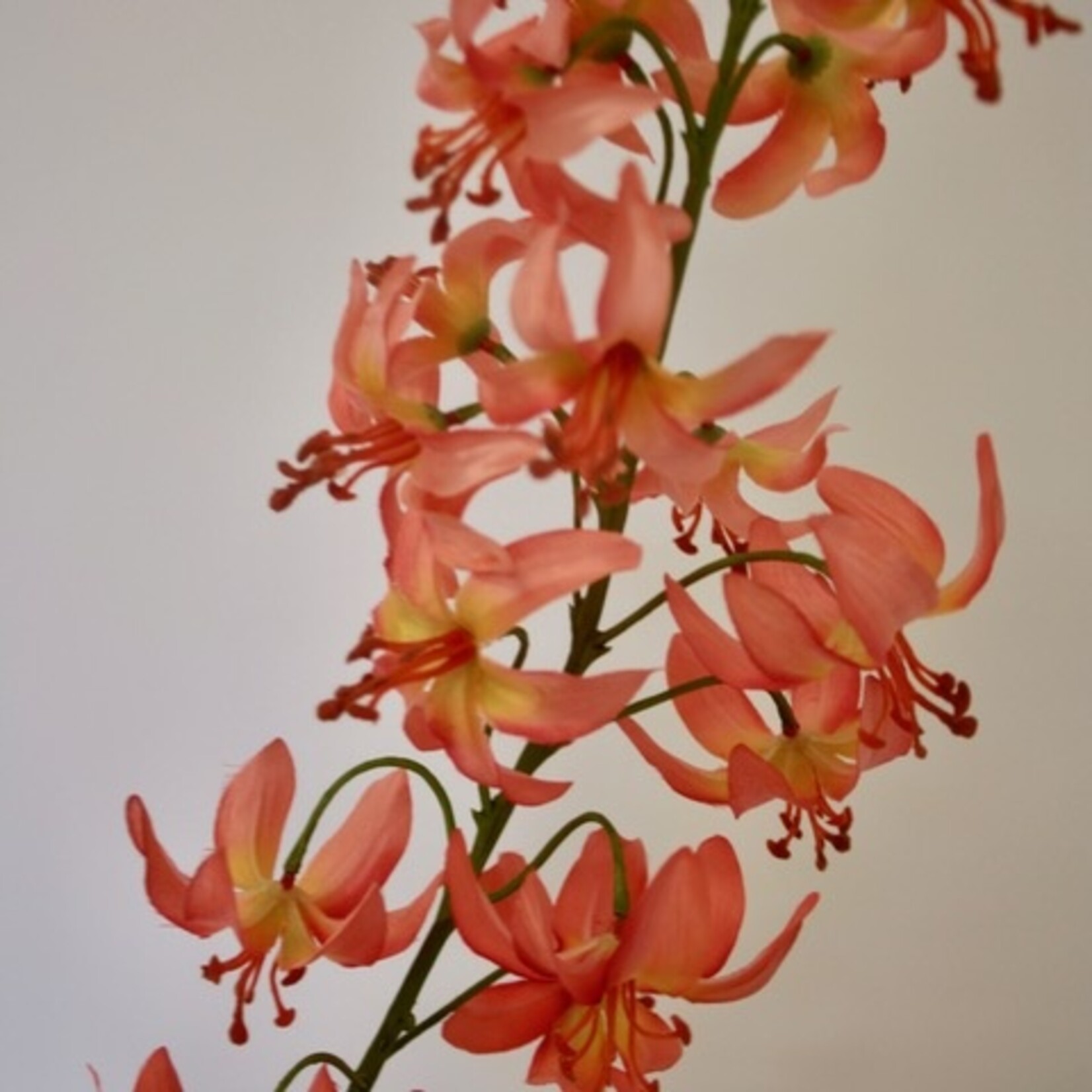 ASIAN LILY | PEACH | 112 CM