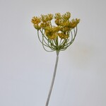 DILL | YELLOW | 72 CM