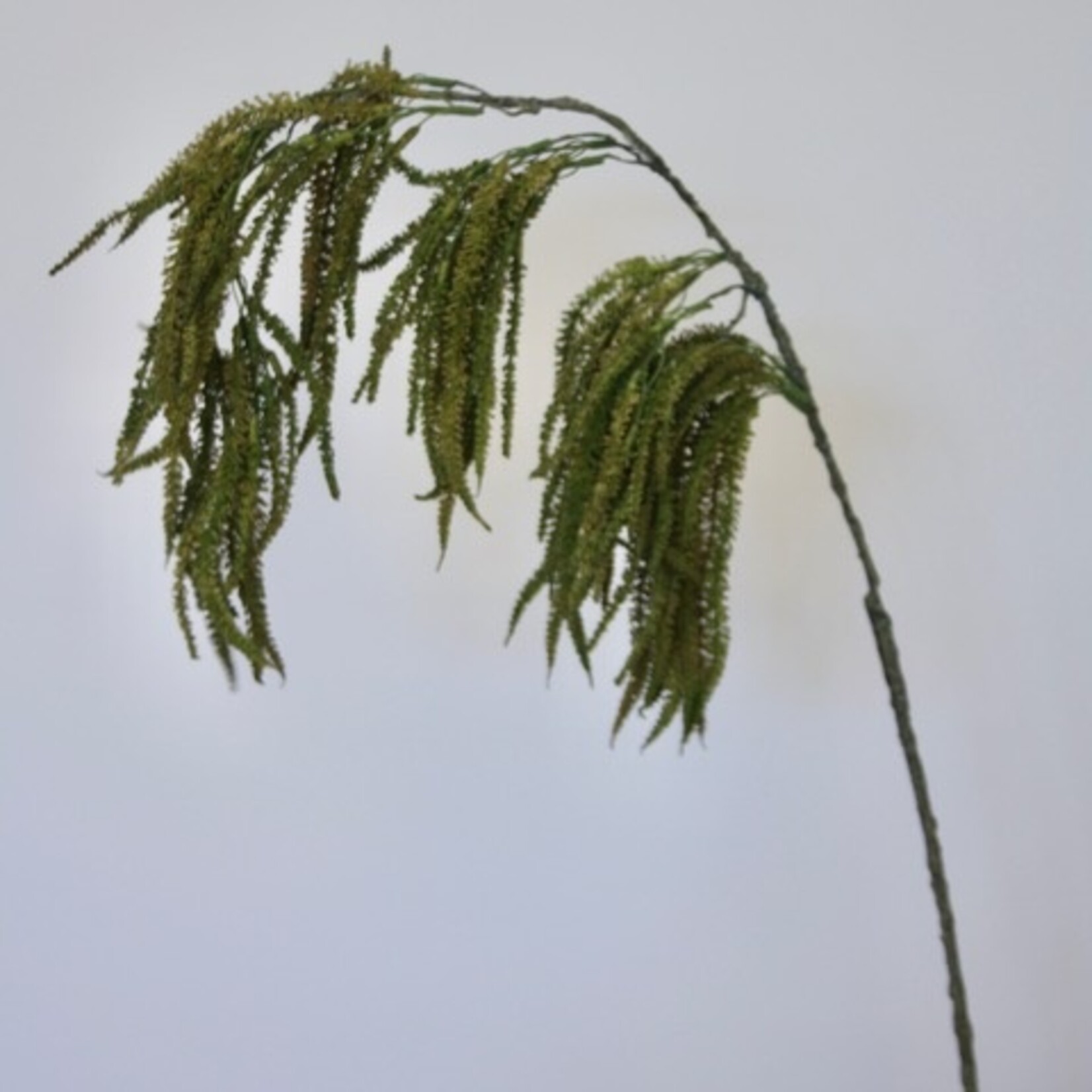 AMARANTHUS HANGEND | BRUIN | 90 CM