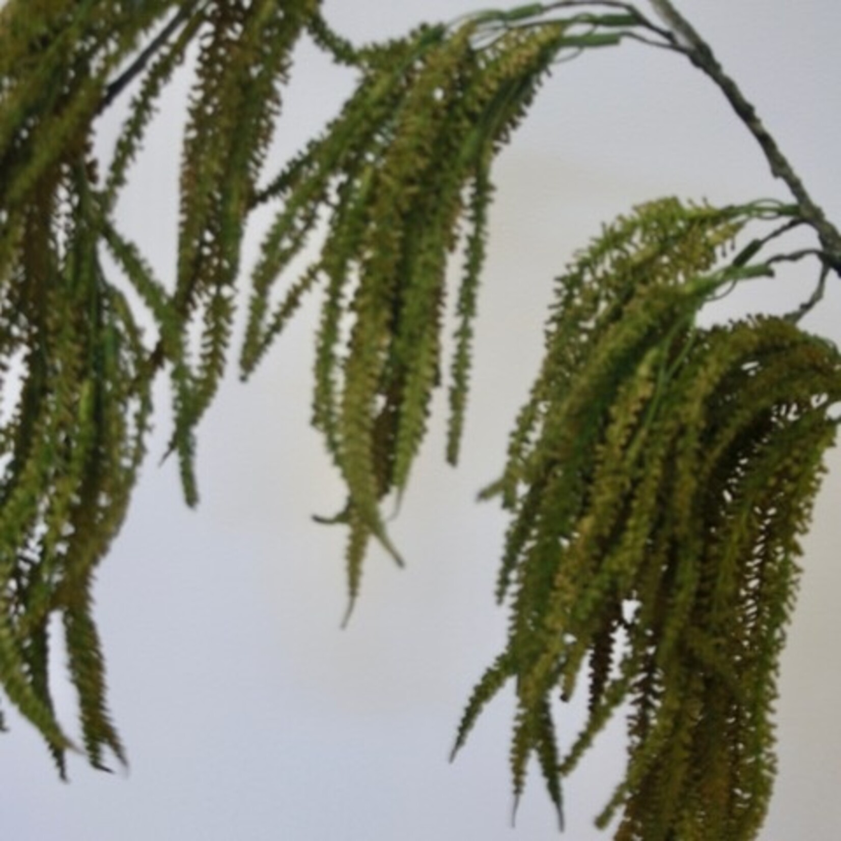 AMARANTHUS HANGEND | BRUIN | 90 CM
