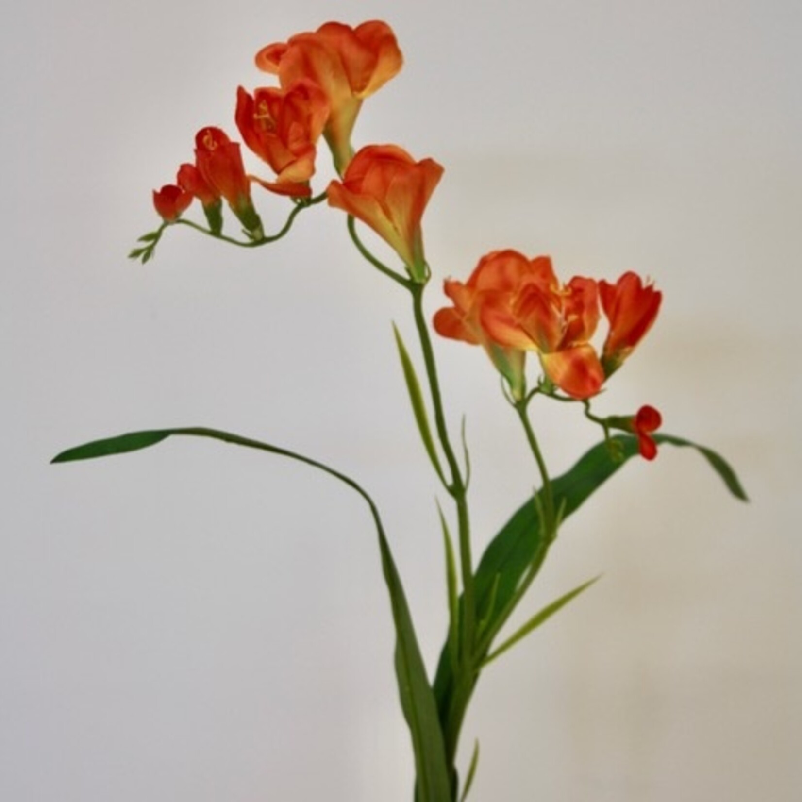 FREESIA | ORANGE | 66 CM