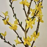 FORSYTHIA | YELLOW | 88 CM