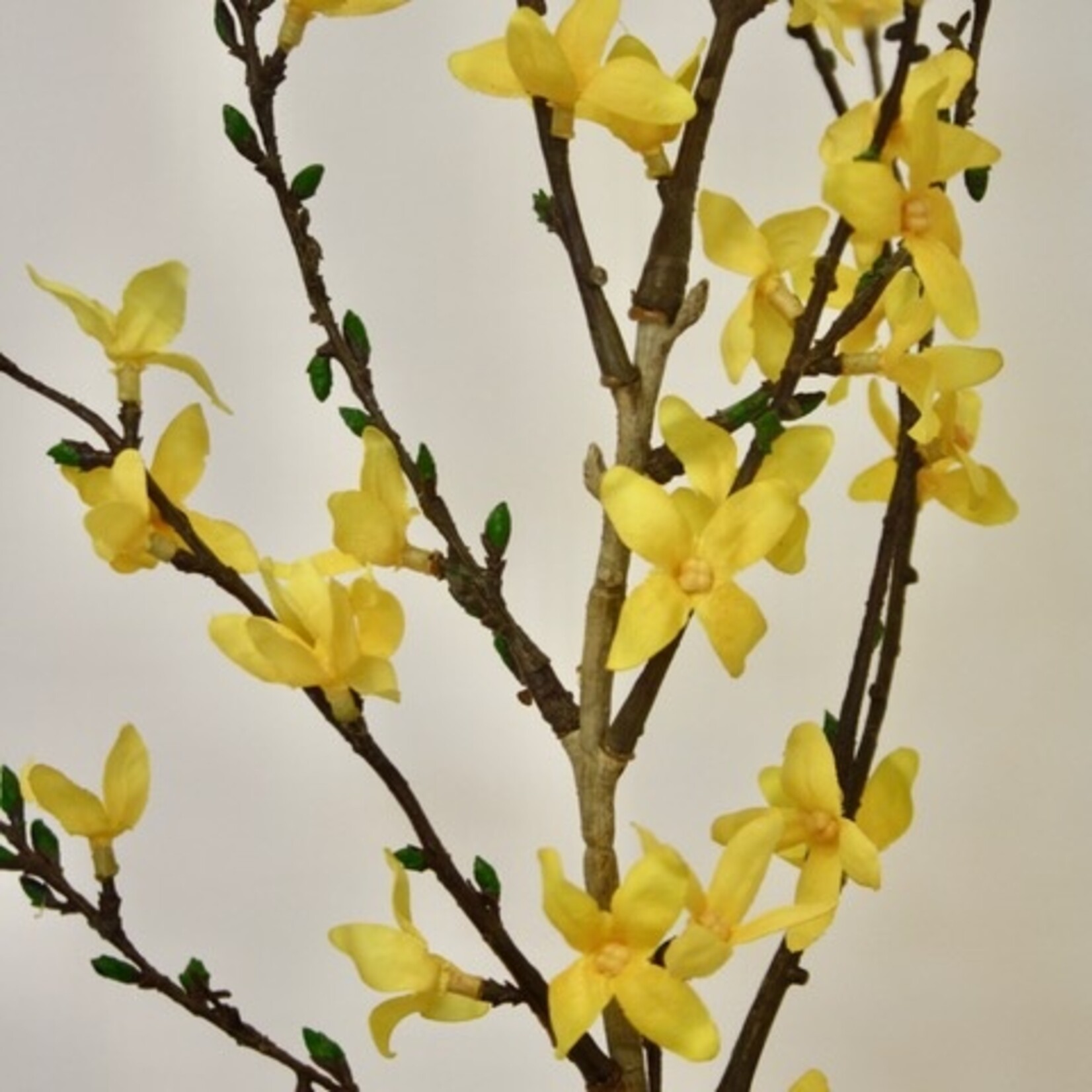 FORSYTHIA | GEEL | 88 CM
