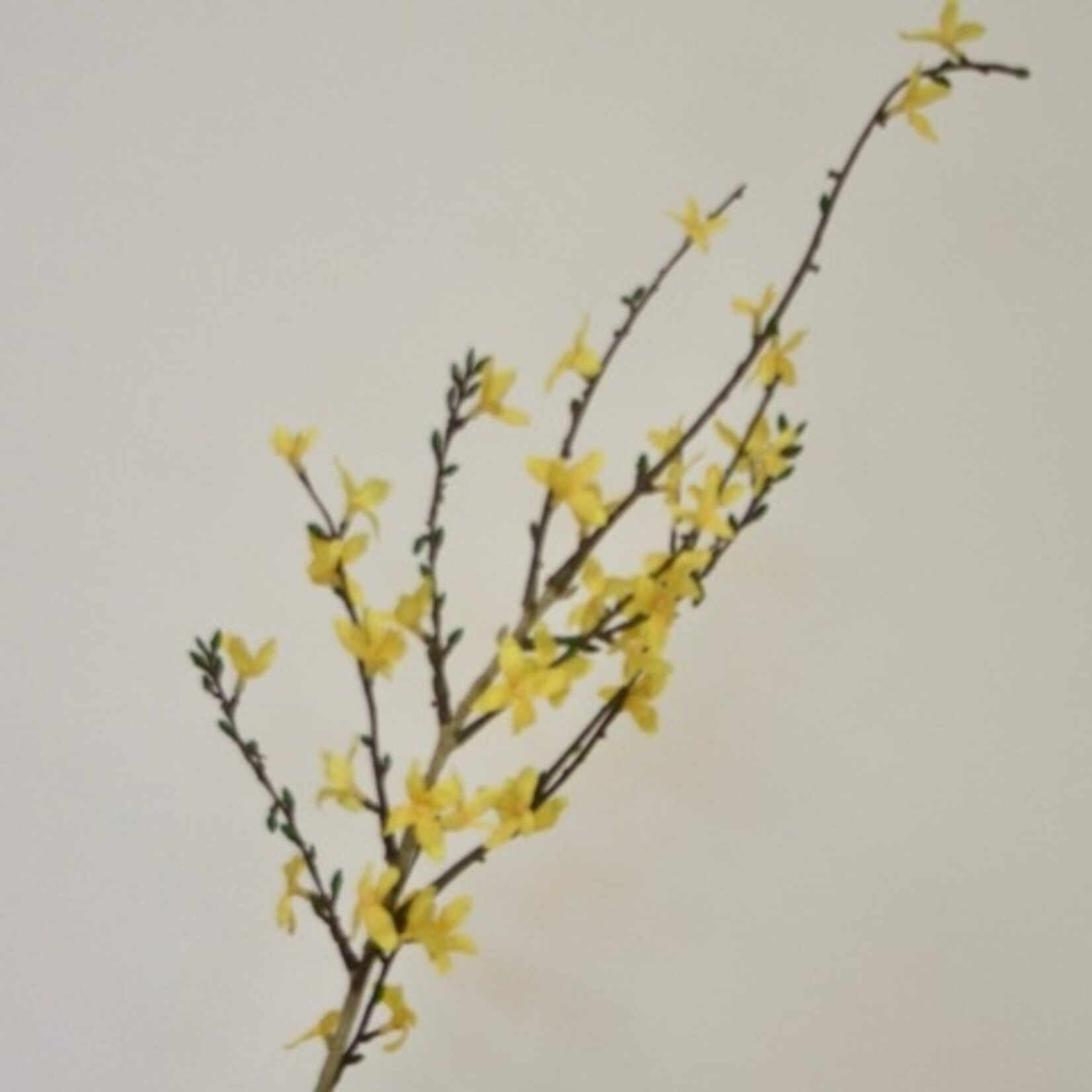 FORSYTHIA | GEEL | 88 CM