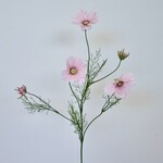 COSMEA | PINK | 90 CM