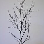 HOUTTAK | BRUIN | 88 CM