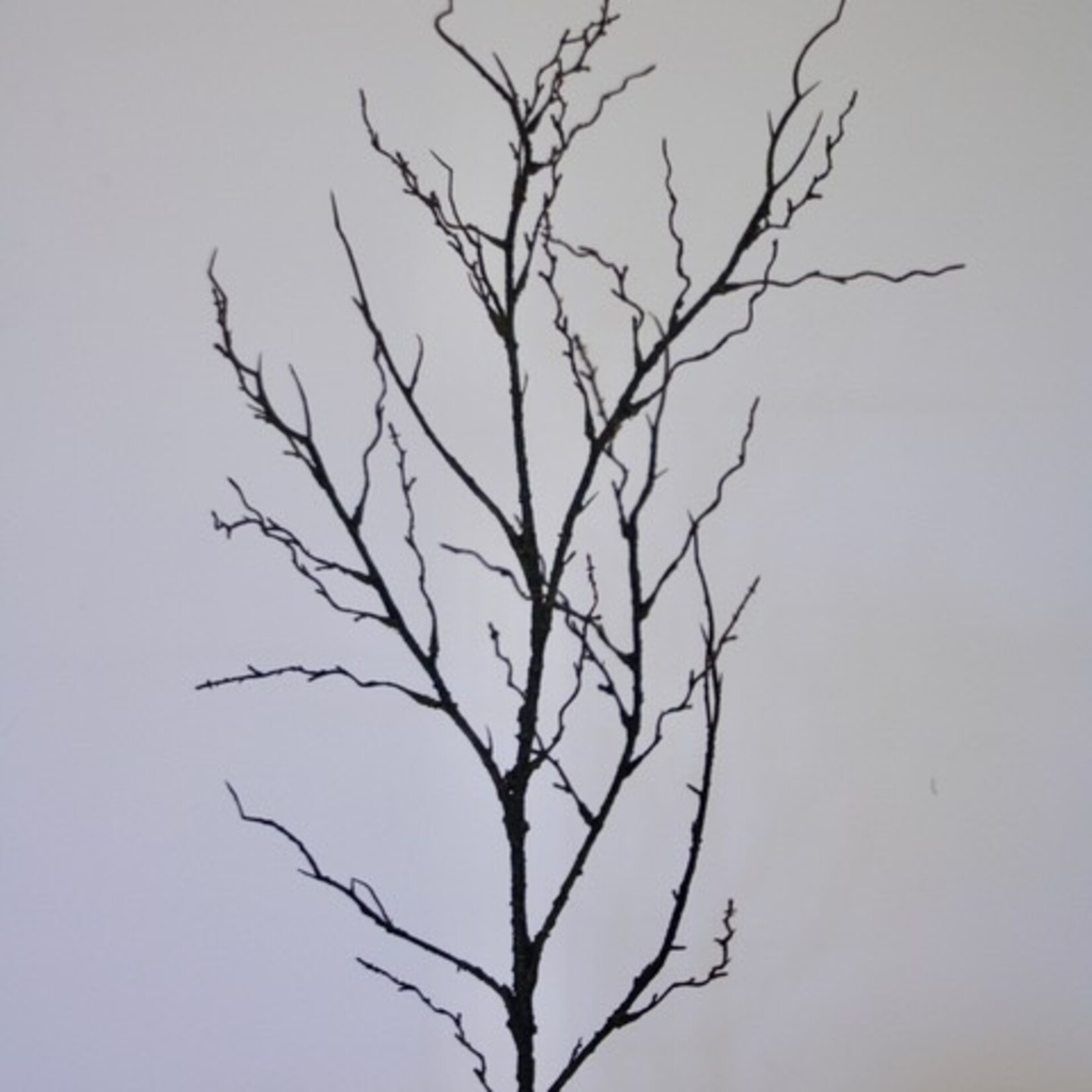 HOUTTAK | BRUIN | 88 CM