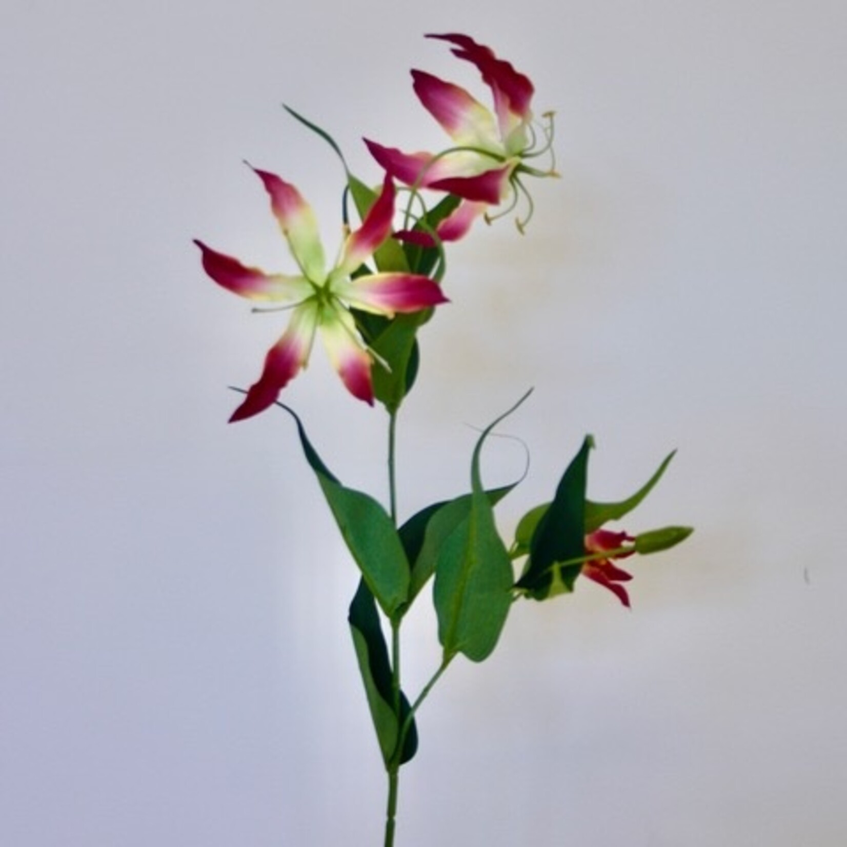 GLORIOSA WITH LEAF | PINK| 85 CM