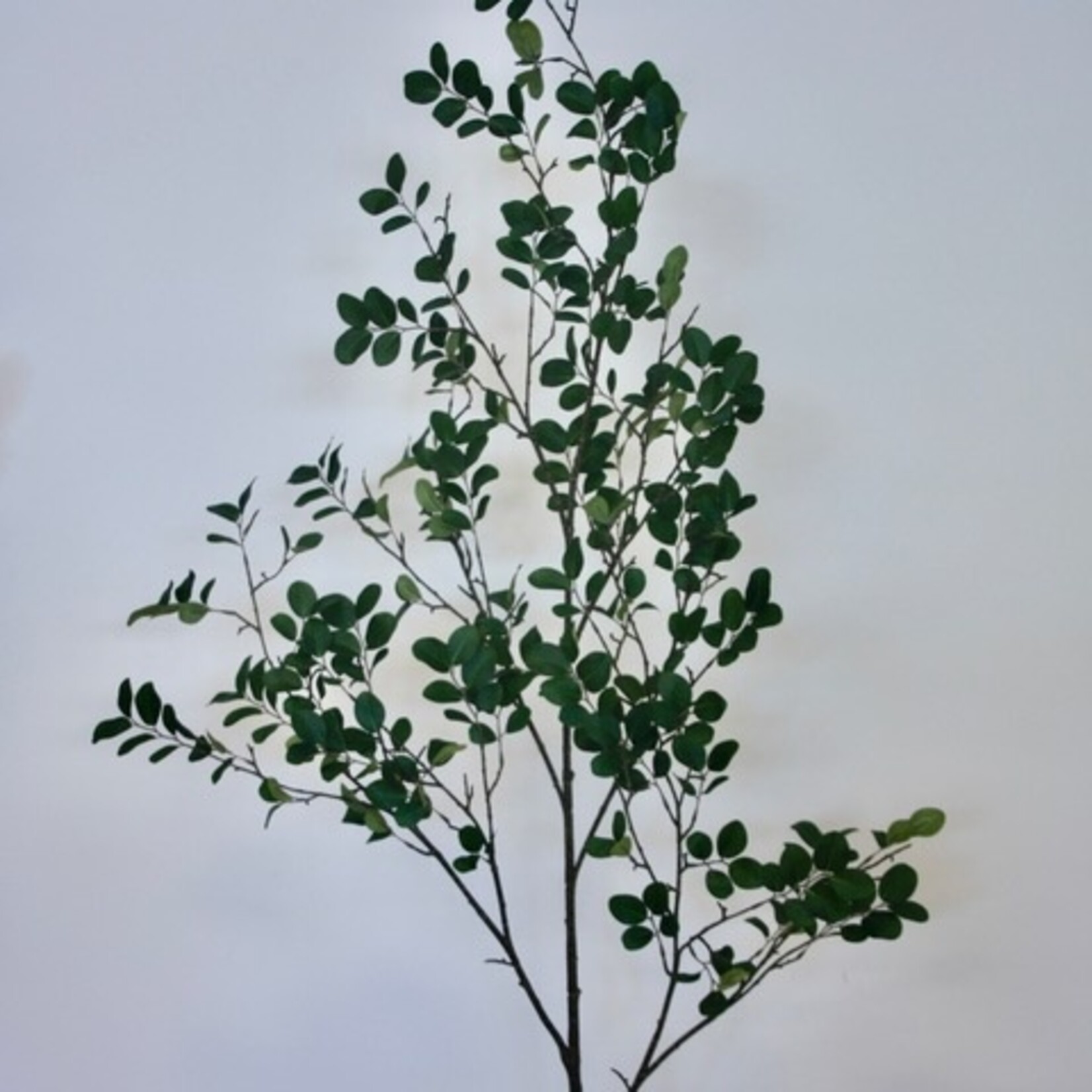 BRANCH XL MYRICA | GREEN | 130 CM
