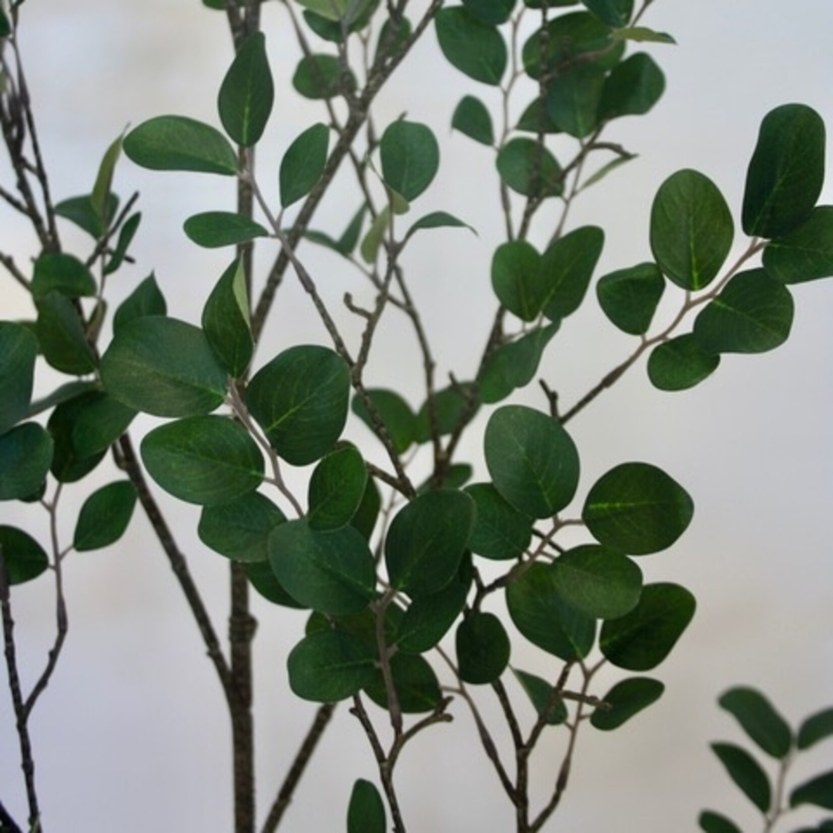 BRANCH XL MYRICA | GREEN | 130 CM