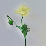 POPPY | YELLOW | 78 CM
