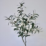 OLIJF TAK| GROEN | 100 CM