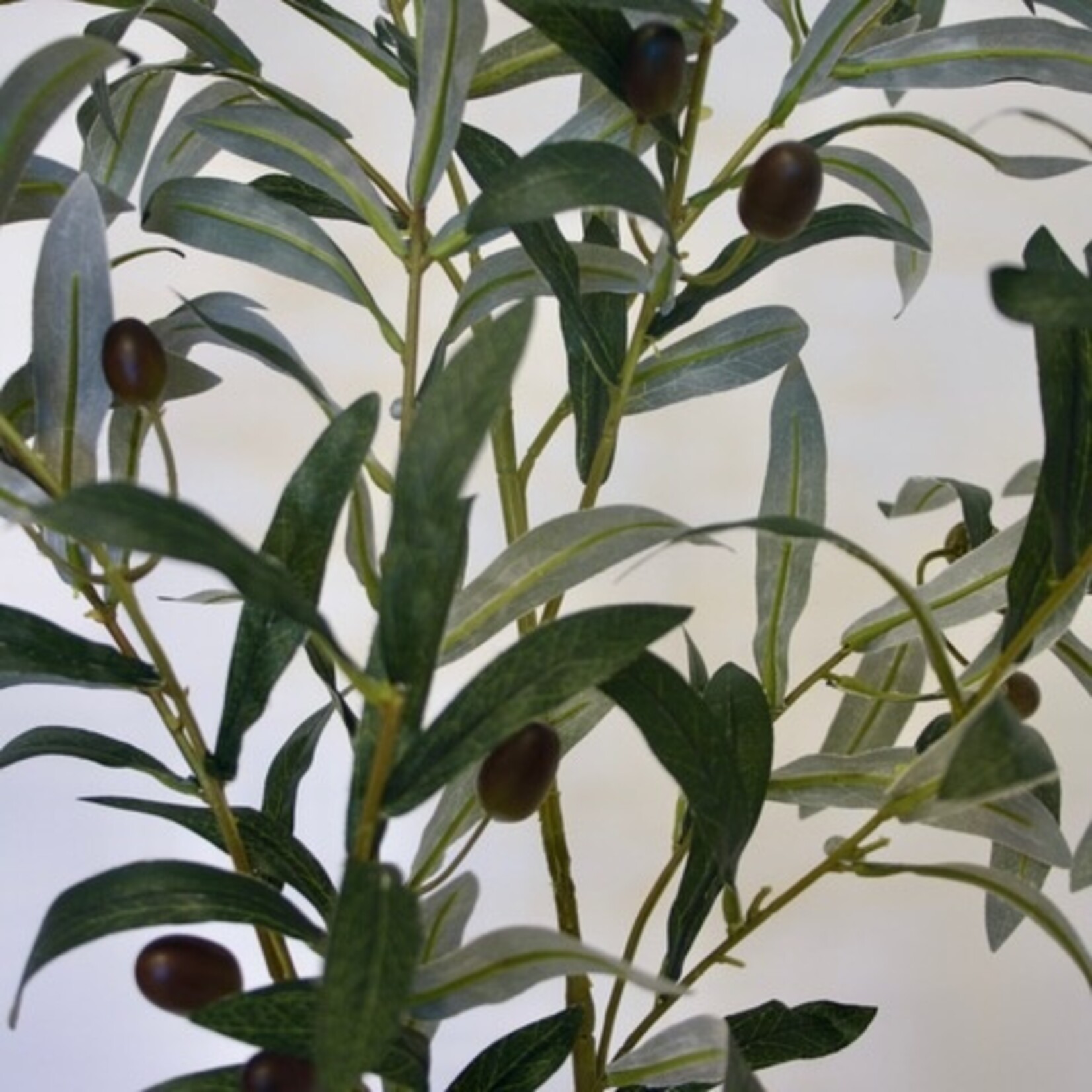 OLIVE  BRANCH | GREEN | 100 CM