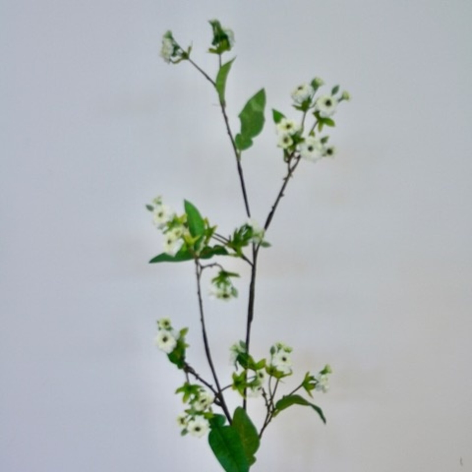 SPRAY ROSE LE PAIR| WHITE GREEN | 90 CM