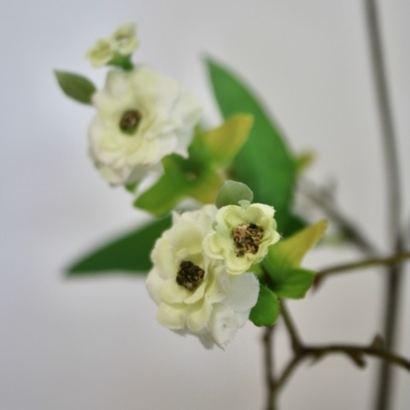 TROSROOS LE PAIR | WIT GROEN | 90 CM