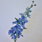 RIDDERSPOOR | BLAUW | 60 CM