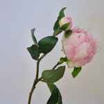 PEONY DO TELL | LIGHT PINK | 45 CM